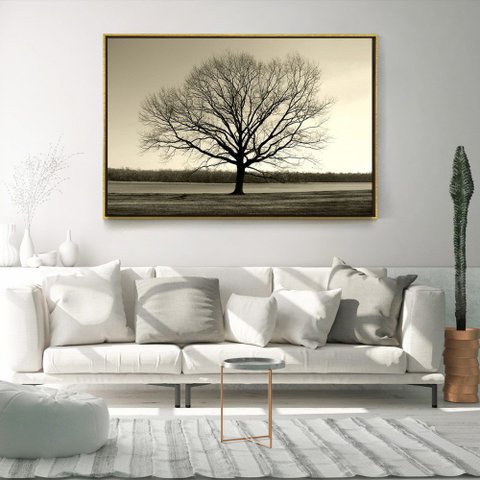Quadro Decorativo Moderno Arvore Galhos Secos Com Moldura e Sem Vidro 60X90