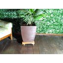 Ver imagem 3 de Suporte para Vasos Planta Madeira com Rodizios Gel 30x30