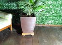 Ver imagem 3 de Suporte para Vasos Planta Madeira com Rodizios Gel 30x30