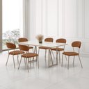 Ver imagem 1 de Conjunto para Sala de Jantar com 6 Cadeiras Betina Bege/Champagne/Terracota/Off White