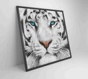 Ver imagem 2 de Quadro Decorativo Tigre Branco - 60x60 Cm - Vidro Impresso