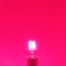 Lâmpada Led Taschibra Filamento Color A60 E27 Bivolt Rosa - 2