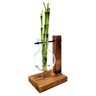 Suporte em Madeira e Vaso Pendente Bambu da Sorte (3 Hastes) - 3
