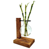 Suporte em Madeira e Vaso Pendente Bambu da Sorte (3 Hastes) - 1