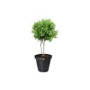 Ver imagem 4 de Kit C/ 5 Vaso Redondo Rattan Preto 36lt Anti Dengue