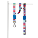 Ver imagem 3 de Coleira Ajustável e Guia para Cães Raios e Listras Azul - P