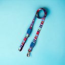 Ver imagem 1 de Coleira Ajustável e Guia para Cães Raios e Listras Azul - P