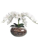 Ver imagem 1 de Arranjo de Mesa 4 Flor Orquídeas Artificial Real Vaso Grande
