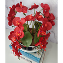 Ver imagem 3 de Arranjo Com 4 Orquídeas Vermelho Vaso Prata 28cm