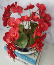 Ver imagem 3 de Arranjo Com 4 Orquídeas Vermelho Vaso Prata 28cm