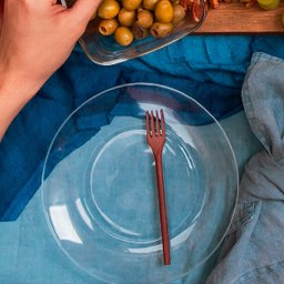 Prato Raso Vidro Duralex 22,6cm Astral 24 Unidades - Nadir 0002 - 4