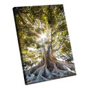 Ver imagem 1 de Quadro Árvore Presença Grande 118x78