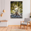 Ver imagem 2 de Quadro Árvore Presença Grande 118x78