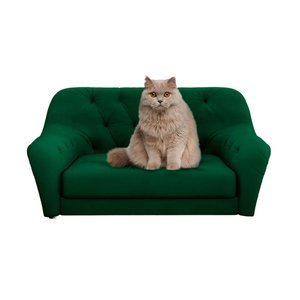 Cama Sofá Poltrona Pet Gato Cachorro Pietra Cor:verde Escuro