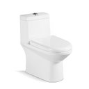 Ver imagem 1 de Vaso Sanitário Monobloco Completo - Caixa Acoplada Privada VAB0027_C Tubrax