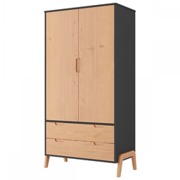 Guarda-roupa Solteiro 2 Portas 2 Gavetas Grafite Tx/pinus Cera Bf-1007 - Hecol Móveis - 2