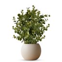 Ver imagem 6 de Galho de Eucalipto Artificial 40cm com 6 Hastes – Folhagem Permanente Realista Decorativa