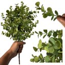 Ver imagem 1 de Galho de Eucalipto Artificial 40cm com 6 Hastes – Folhagem Permanente Realista Decorativa