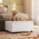 Ver imagem 2 de Bau Multiuso Porta Objetos