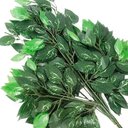 Ver imagem 2 de Kit 84 Ramos Decoração Arranjo Fícus Artificial Verde 14 Galhos Cada 60cm