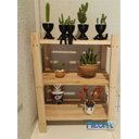 Ver imagem 4 de Estante Modular 4 Prateleiras Madeira Maciça 90x34x30 Cm sem Pintura Neonx