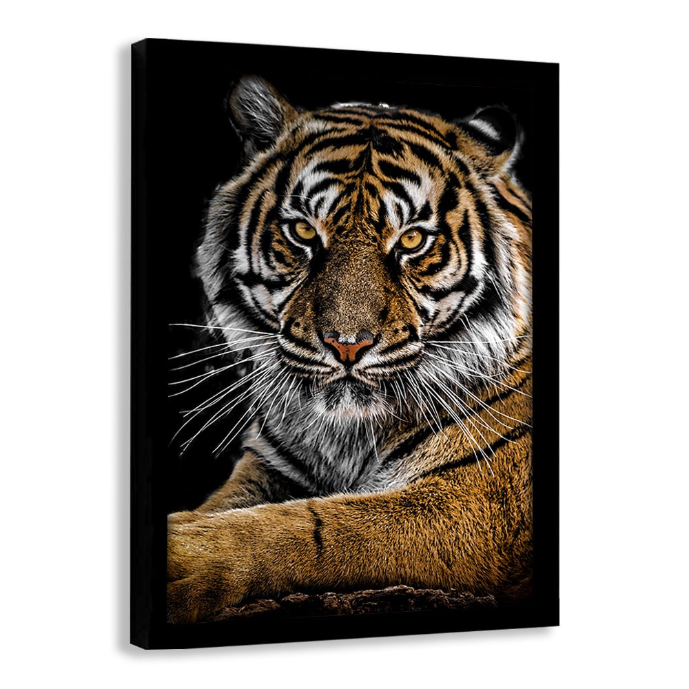 Quadro Tigre Energia Lindo 3D para sala quarto Painel tela grande