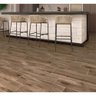 Piso Cerâmico Acetinado Albero Ramo Plus Marrom 20X60Cm - 6