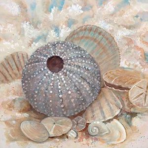 Conchas da Praia Impressão Fine Art em Papel Algodão 30x30 Cm sem Moldura