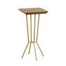 Mesa Lateral Aricanduva Quadrada 28x57x28cm - Dourado - 1