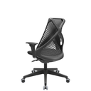 Ver imagem 1 de Cadeira Giratoria Diretor Bix Preta - Plaxmetal