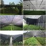 Tela Sombreamento 4x30m 50% para Horta Jardim Estufa Viveiro - 6