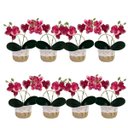 Ver imagem 1 de Kit Decoração com 8 Orquídea Rosa Permanente para Sala Comercial e Recep