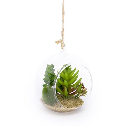 Flor Suculenta com Vaso de Vidro para Pendurar Sala Verde 11 Cm F04 - D’Rossi