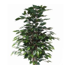 Planta Artificial Ficus - 3