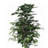 Planta Artificial Ficus - 3