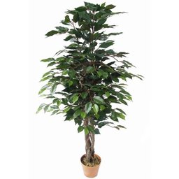 Planta Artificial Ficus - 1
