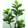 Planta Artificial Caules Ficus Lyrata para Decoração Realista - 3