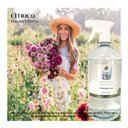 Ver imagem 2 de Aromatizador Forte Botanica Essence 34. Farm Gold 1 Litro