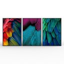 Ver imagem 1 de KIT 3 QUADROS RETANGULARES - PENAS, FOLHAS E CORES