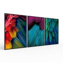 Ver imagem 2 de KIT 3 QUADROS RETANGULARES - PENAS, FOLHAS E CORES