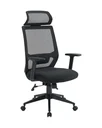 Ver imagem 1 de Cadeira Escritório Presidente Ergonômica NR17 Genebra Preto