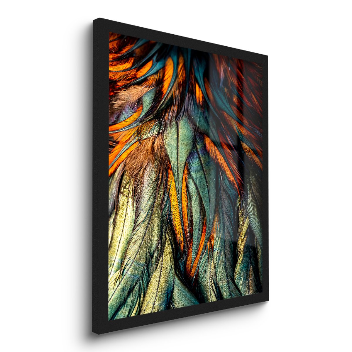 Quadro Decorativo Penas Coloridas Aves 45x33 C/vidro