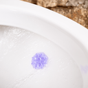 Ver mais imagens de Kit 3 Unidades Detergente Sanitários Gel Adesivo 38g com Aplicador Novo Frescor Dura até 6 Semanas F