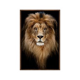 Quadro Decorativo - Leao Grande Rei Colorido Anm011 Vidro com Impressão Uv - 60x40cm - 2