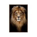 Ver imagem 2 de Quadro Decorativo - Leao Grande Rei Colorido Anm011 Vidro com Impressão Uv - 60x40cm