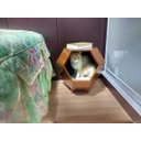 Ver imagem 4 de Móvel de Canto com Cama para Pet