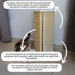 Arranhador Gato Canto Sofá Modelo Sisal - Branco - 4
