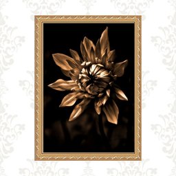 Quadro Moldura Dourada Flor Bronze e Preto 33x24cm:com Vidro - 1