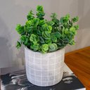 Ver imagem 3 de Kit 2 Pick Eucalipto Planta Artificial Permanente 33cm