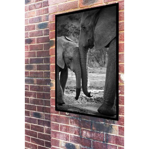 Quadro Decorativo Fotografia Mãe e Bebê Elefante - 70x50cm:moldura Preta
